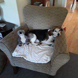 Meet your Posher, Brenda